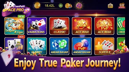 bet5595